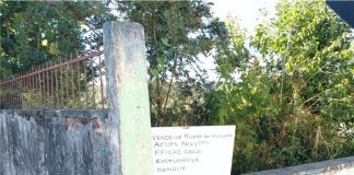 Falta de cuidado em terreno no perímetro central preocupa moradores