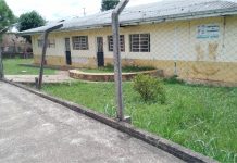 Matagal toma conta em CMEI de Palmas