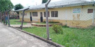 Matagal toma conta em CMEI de Palmas