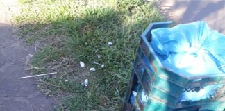 Coronel Domingos Soares orienta quanto ao descarte de lixo