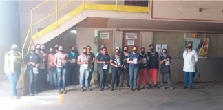 Marini Compensados faz homenagem a todas as mulheres