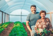 Aprocel implantará software específico, com apoio do Sebrae/PR