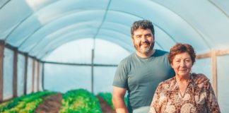 Aprocel implantará software específico, com apoio do Sebrae/PR