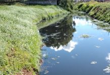 Rio Lajeado: cor escura e falta de explicações gera preocupação aos palmenses