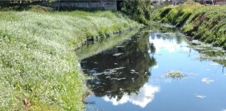 Rio Lajeado: cor escura e falta de explicações gera preocupação aos palmenses