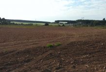 Casas da Cohapar em Cel. Domingos Soares deverão ser construídas no segundo semestre deste ano