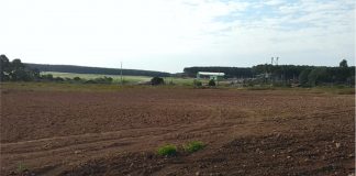 Casas da Cohapar em Cel. Domingos Soares deverão ser construídas no segundo semestre deste ano