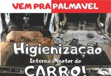 Higienização interna e motor do Carro