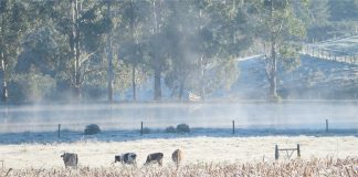 Tempo muda e temperaturas despencam em Palmas/PR