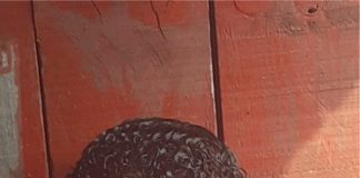 Ajuda ao pequeno Jhonatan Gabriel