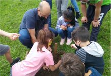 Dia da Árvore foi comemorado em Coronel Domingos Soares