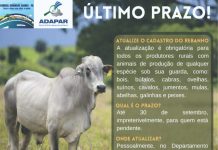 Atualização de rebanhos encerra dia 30 de setembro