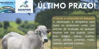 Atualização de rebanhos encerra dia 30 de setembro