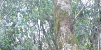 Mais uma ação do projeto Proteja uma Nascente