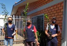 Marini Compensados presenteando colaboradores e valorizando o Meio Ambiente