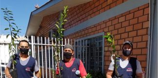 Marini Compensados presenteando colaboradores e valorizando o Meio Ambiente