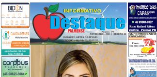 INFORMATIVO DESTAQUE PALMENSE