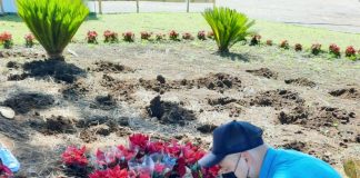 Meio Ambiente e Ação Social de CDS lançam projeto de educação ambiental