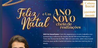 LUIZ FERNANDO GUERRA DEPUTADO ESTADUAL