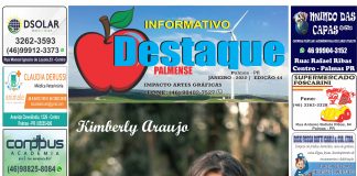 INFORMATIVO DESTAQUE PALMENSE
