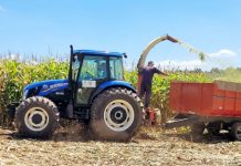 Produtores rurais de CDS preparam silagem com auxílio do Departamento de Agricultura
