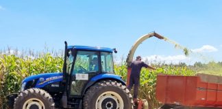 Produtores rurais de CDS preparam silagem com auxílio do Departamento de Agricultura