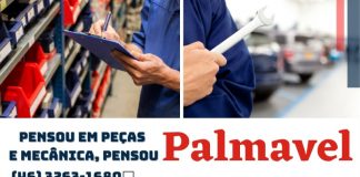 A PALMAVEL tem mais de 35 anos de tradição e excelência manutenção de automóveis