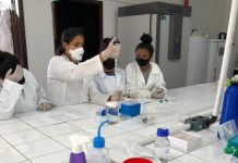 Parcerias de SUCESSO com os Alunos do Curso de Formação de Docentes – Colégio Estadual Dom Carlos