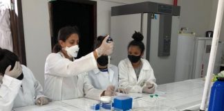 Parcerias de SUCESSO com os Alunos do Curso de Formação de Docentes – Colégio Estadual Dom Carlos