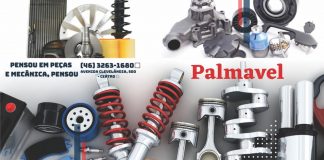 A PALMAVEL tem mais de 35 anos de tradição e excelência em peças para automóveis
