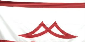 Marini Compensados duas décadas a história contada pelos seus autores