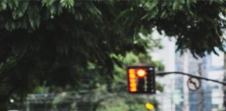 Vitor Silva segue as competições em alto nível