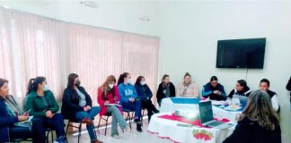 Ação Social de CDS promove encontro de formação sobre o Auxílio Brasil