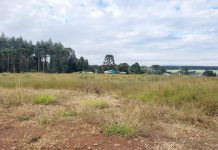 Cohapar anuncia início do prazo para construção de casas populares em Cel. Domingos Soares