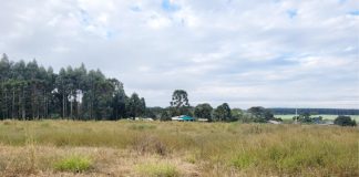 Cohapar anuncia início do prazo para construção de casas populares em Cel. Domingos Soares