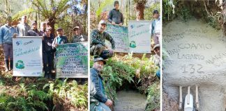 Preservar o Meio Ambiente é uma das prioridades da COAMO