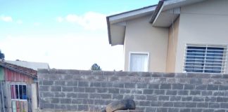 Meio Ambiente realiza Campanha de Descarte de Pneus