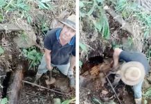 Mais uma ação do Projeto Proteja uma Nascente