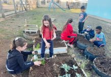 Projeto Jovens Empreendedores Primeiros Passos é desenvolvido em Coronel Domingos Soares
