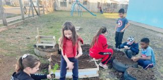 Projeto Jovens Empreendedores Primeiros Passos é desenvolvido em Coronel Domingos Soares