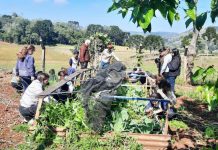 Escolas municipais de Coronel Domingos Soares desenvolvem projeto de aprendizagem em tempo integral