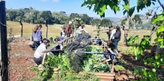 Escolas municipais de Coronel Domingos Soares desenvolvem projeto de aprendizagem em tempo integral