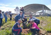 Cel. Domingos Soares implanta projeto de hortas e pomares nas escolas municipais