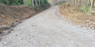 Prefeitura de CDS está readequando estrada do Pouso Frio