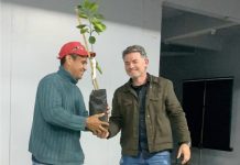 21 DE SETEMBRO – DIA DA ÁRVORE