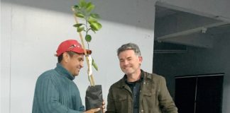 21 DE SETEMBRO – DIA DA ÁRVORE