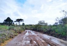 Prefeitura de Cel. Domingos Soares declara situação de emergência no município devido às chuvas