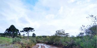 Prefeitura de Cel. Domingos Soares declara situação de emergência no município devido às chuvas