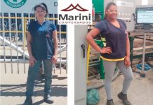 Marini Compensados Duas Décadas: A História contada pelos seus autores