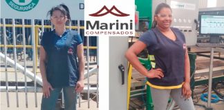 Marini Compensados Duas Décadas: A História contada pelos seus autores